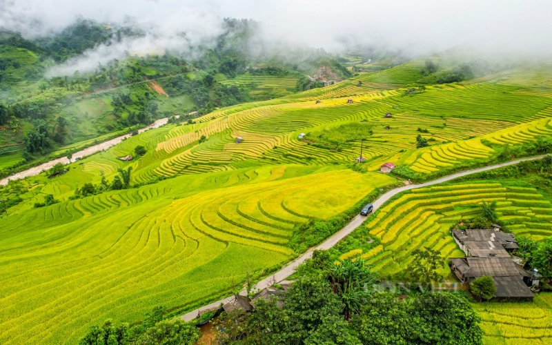 Sapa culture with stories of ethnic life and traditions in the Northern highlands 2 These Breathtaking Terraces Are The Heart Of Sapa Culture, Showcasing Timeless Agricultural Wisdom